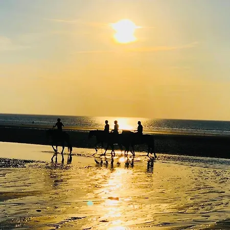 L'oree Du Golf - Maison Deauville 8 Personnes Saint-Arnoult (Calvados)