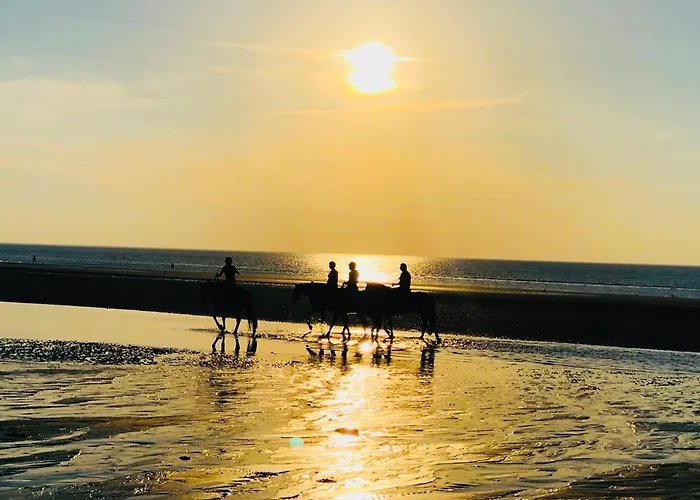 L'oree Du Golf - Maison Deauville 8 Personnes Saint-Arnoult (Calvados)